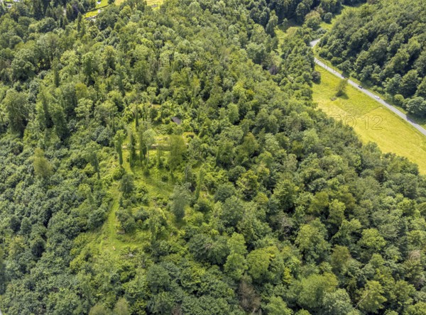 Aerial view, castle ruin resp. Remains of the Rüdenburg (also Alte Grafenburg or Alte Burg) on the