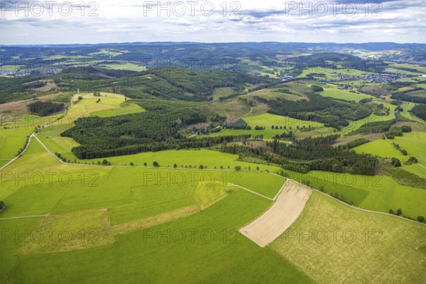 Aerial view, forest area with forest damage, distant view and blue sky with clouds, meadows and