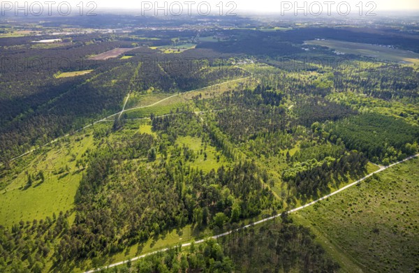 Aerial view, forest pastures Wistinghauser Senne nature reserve, heathland, forest and meadows and