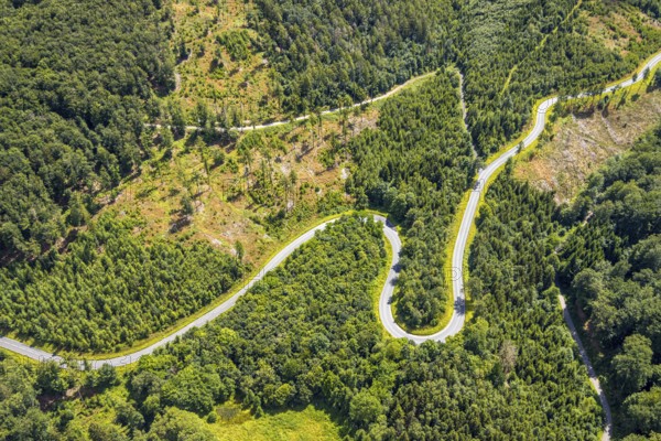Aerial view, serpentines at the Ochsenkopf between Arnsberg and Sundern in the forest area with