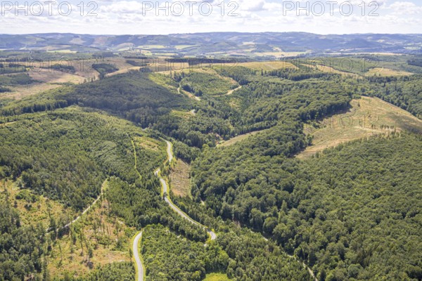 Aerial view, serpentines at the Ochsenkopf between Arnsberg and Sundern in the forest area with