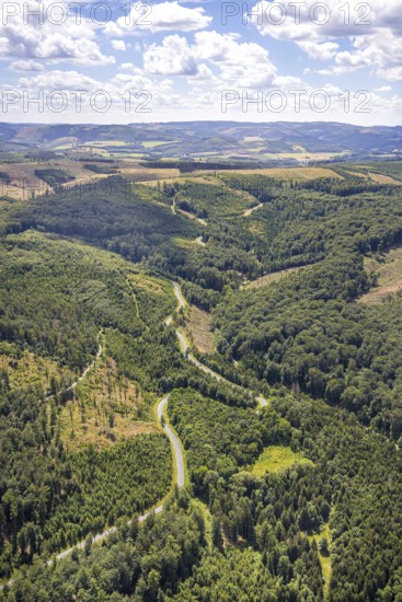 Aerial view, serpentines at the Ochsenkopf between Arnsberg and Sundern in the forest area with