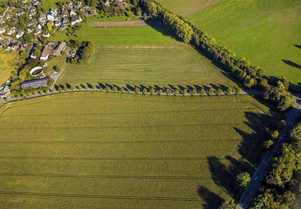 Aerial view, triangular group of trees in a field on Lünener Straße, field, field, group of trees,