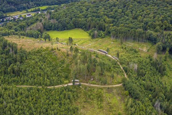 Aerial photo, forest area with forest damage at Weibersberg, Bad Laasphe, Wittgensteiner Land,