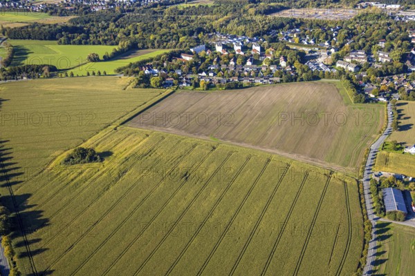 Aerial view, triangular group of trees in a field on Lünener Straße, field, field, group of trees,
