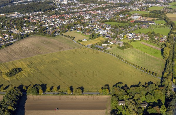 Aerial view, triangular group of trees in a field on Lünener Straße, field, field, group of trees,
