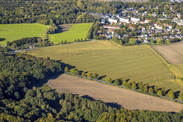 Aerial view, triangular group of trees in a field on Lünener Straße, field, field, group of trees,