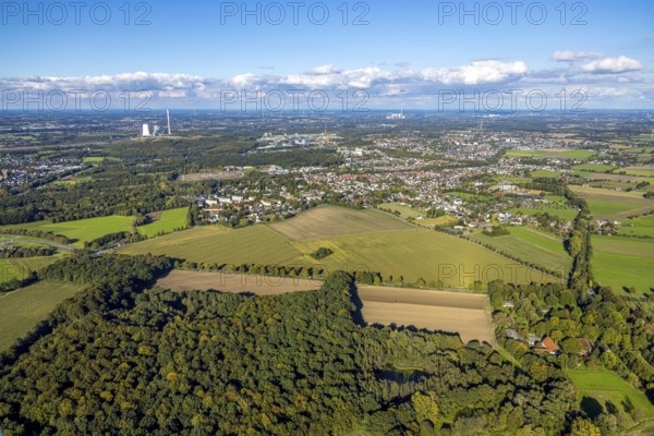 Aerial view, triangular group of trees in a field on Lünener Straße, field, field, group of trees,