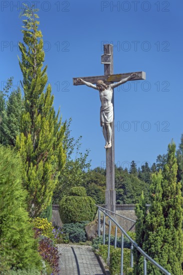 Crucifix and the tree of life (Thuja) at the Roman Catholic parish church of the Assumption of the