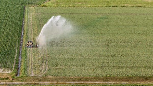 Agricultural irrigation system spraying water over young soybean plants in an Italian farm field