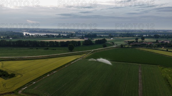 Aerial view of sophisticated sprinkler irrigation systems nurturing lush green soybean crops across