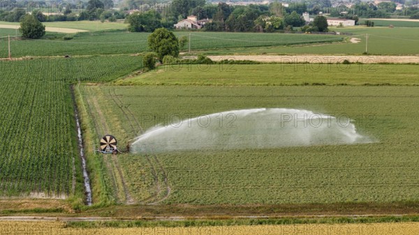 Springtime agricultural irrigation using a large rain gun sprinkler system to water young soybean