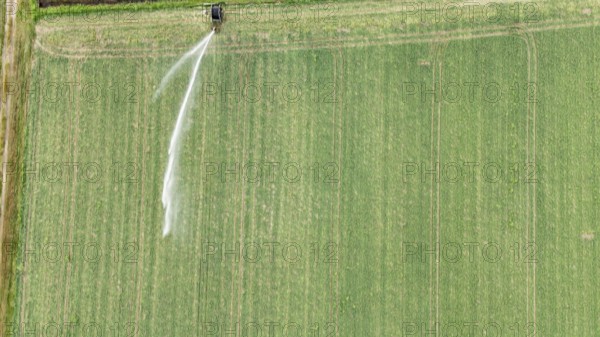 Aerial view of a large agricultural field with a rain gun sprinkler system irrigating young soybean