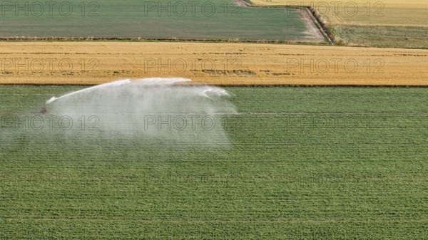 Modern Agricultural Irrigation Techniques Employing Rain Gun Sprinklers for Soybean Cultivation