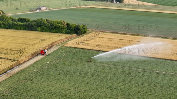 Automated Irrigation System Sprays Water on Lush Green Soybean Fields in Italy During Springtime