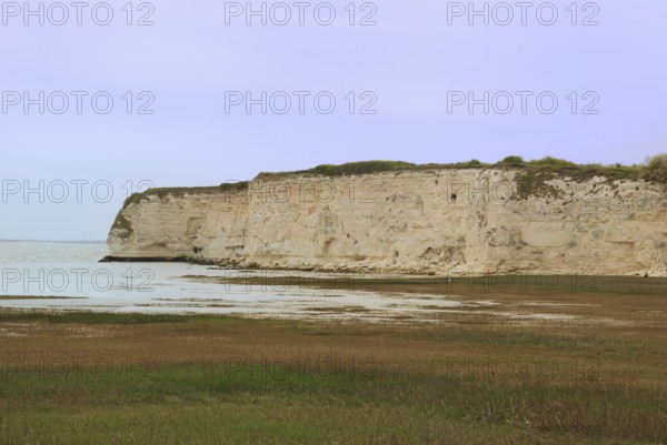 Coast in Charentes, Cliffs by a calm sea under a pale sky, surrounded by green grass and a gentle
