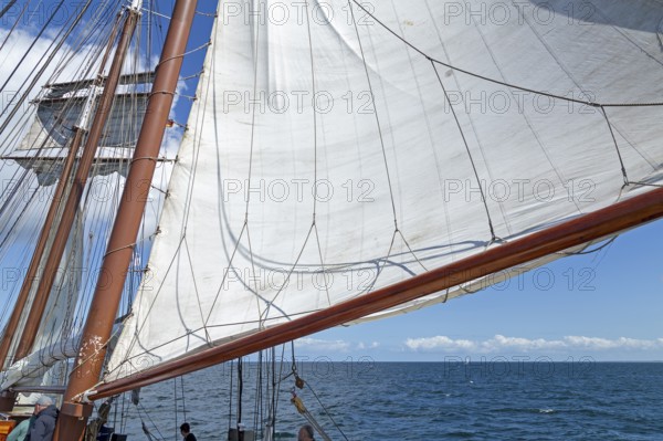 Sailing, sailing ship, Hanse-Sail, Baltic Sea near Warnemünde, Rostock, Mecklenburg-Western