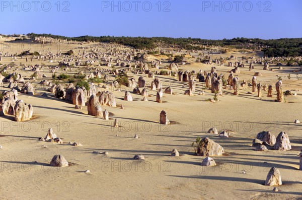 The Pinnacles, limestone pillars in the dunes, Nambung National Park near Cervantes, Perth, Western