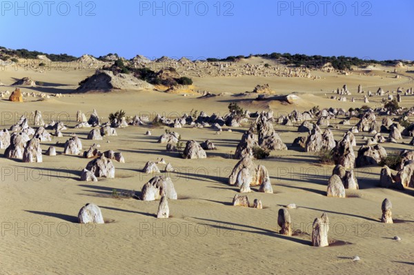 The Pinnacles, limestone pillars in the dunes, Nambung National Park near Cervantes, Perth, Western