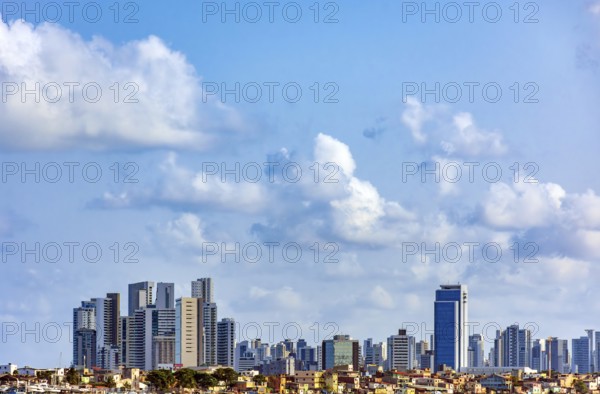 Skyline of the city of Recife in Pernambuco with a favela in front of the buildings, Recife,