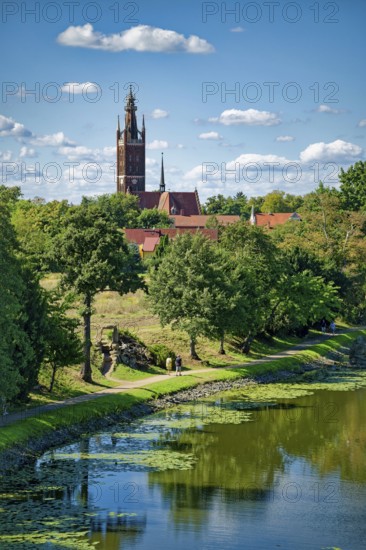 Wörlitz St Peter's Church with the Bible Tower, Lake Wörlitz, Wörlitz Park, Wörlitz Gardens, Garden