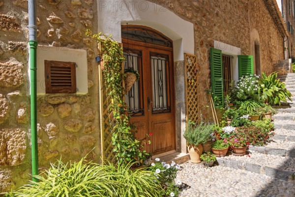 Apartment door with flowers and green plants outside on a stair in a cobblestone alley a sunny