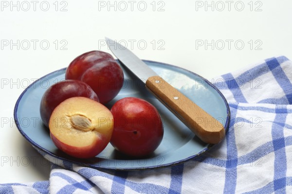 Red plums on plate with kitchen knife, Prunus domestica