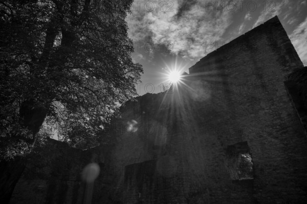 Tor tor and kennel of the castle ruins of Hofen Castle, Mühlhausen am Neckar district, backlight,