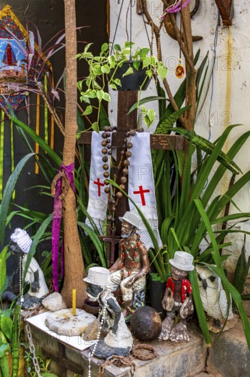 Religious syncretism of Umbanda and Cotolicism mixed on an altar among the plants, Belo Horizonte,