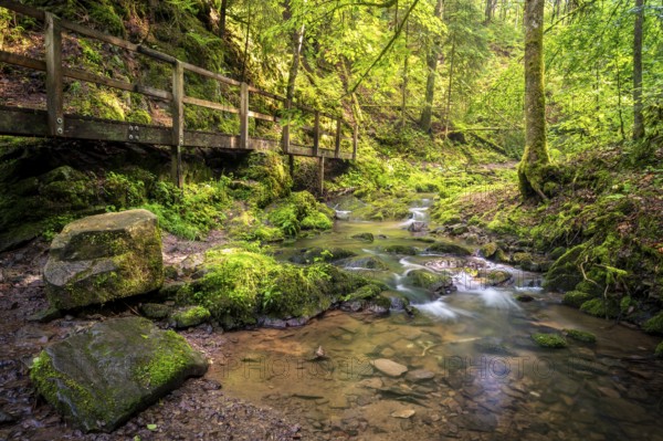 Lotenbachklamm, landscape in the Black Forest, hiking trail with wooden bridge, Lotenbach with