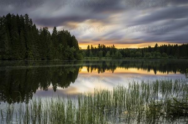 The lake Windgfällweiher at sunset, long exposure, Black Forest, municipality Lenzkirch,