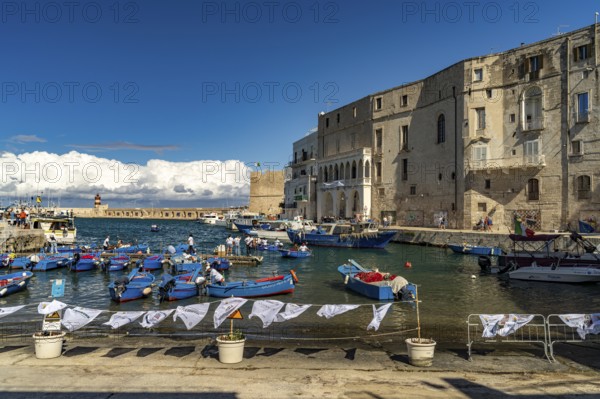 Blue Gozzi fishing boats in the old harbour of Monopoli, Apulia, Italy