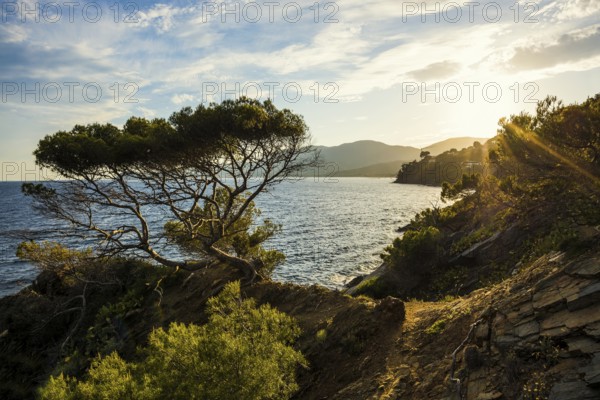 Picturesque hiking trail on the coast, sunset, La Croix-Valmer, Saint Tropez, Var, French Riviera,