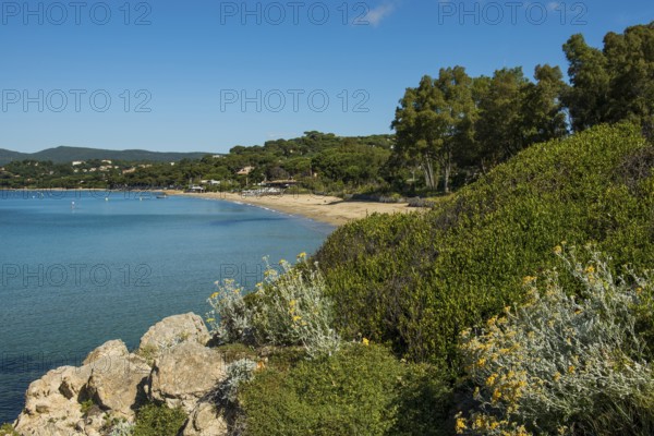 Beach, Plage de Gigaro, La Croix-Valmer, Saint Tropez, Var, French Riviera, Provence-Alpes-Cote