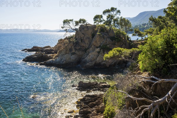 Hiking trail on the coast, Le Lavandou, Var, French Riviera, Provence-Alpes-Cote d'Azur, Cote d