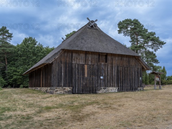 Former sheepfold, outdoor sheepfold, Heiliger Hain nature reserve, Wahrenholz, Lüneburg Heath,
