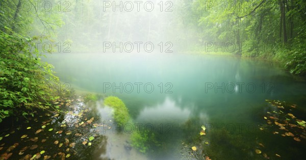 The mysterious Rhume spring with turquoise-green water in the morning mist, karst spring, fourth