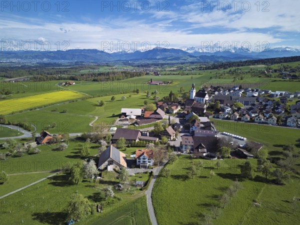 Village view with field of flowering rape, behind the Rigi and the snow-covered Alps, Beinwil,