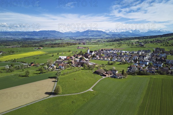 Village view with field of flowering rape, behind the Rigi and the snow-covered Alps, Beinwil,