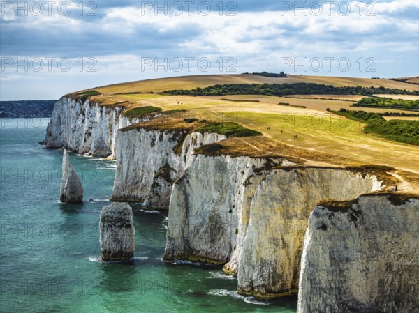 White Cliffs of Old Harry Rocks Jurassic Coast from a drone, Handfast Point, Dorset Coast, Poole,