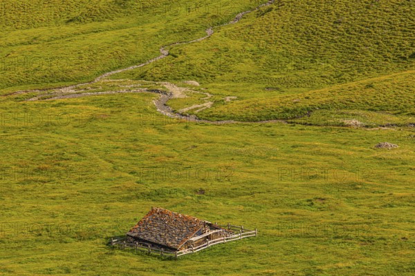 Alpine hut in green alpine meadow, above Grimentz, Val d'Anniviers, Valais Alps, Canton Valais,