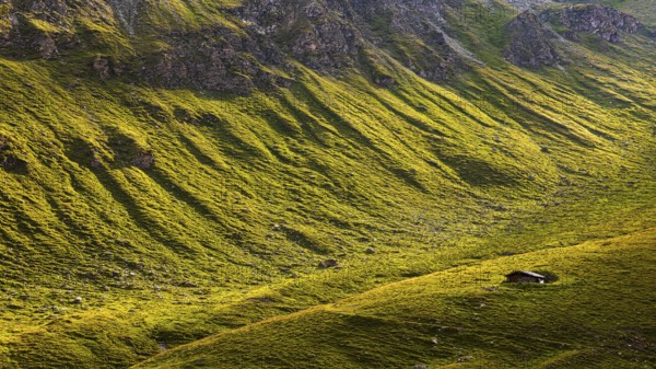 Alpine hut in green alpine meadow, above Grimentz, Val d'Anniviers, Valais Alps, Canton Valais,