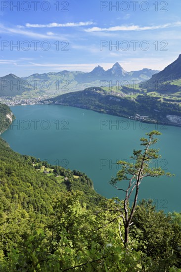 View from Seelisberg to Lake Lucerne, behind Brunnen and the small and large Mythen, Seelisberg,