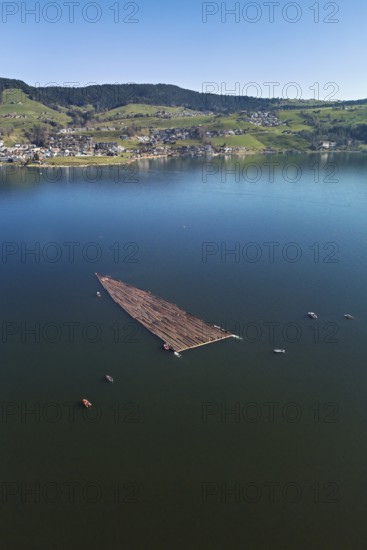 Forestry workers float a raft of felled tree trunks from the Bergmatt across the Ägerisee to the