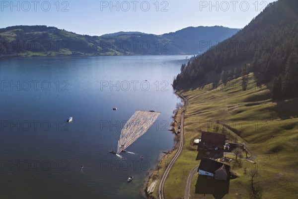 Forestry workers float a raft of felled tree trunks from the Bergmatt across the Ägerisee to the