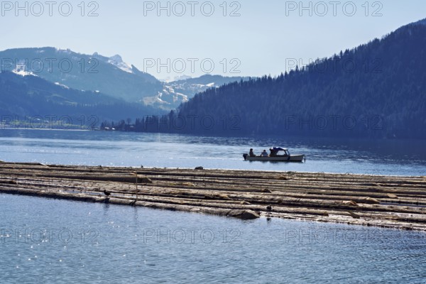 Forestry workers float a raft of felled tree trunks from the Bergmatt across the Ägerisee to the