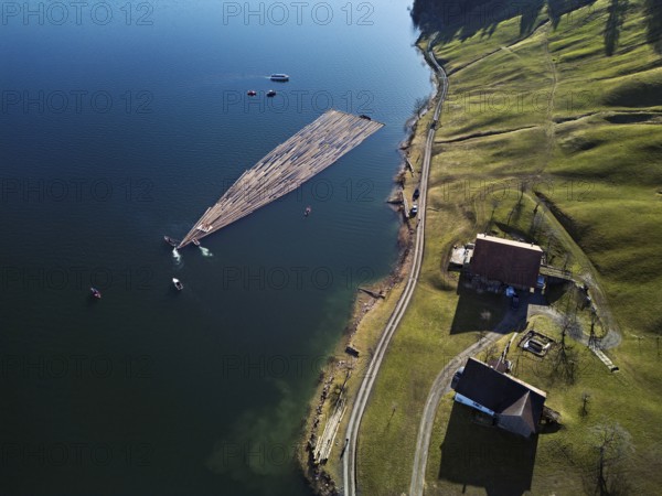 Forestry workers float a raft of felled tree trunks from the Bergmatt across the Ägerisee to the