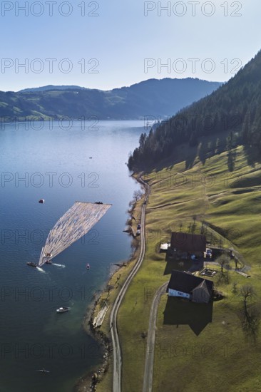 Forestry workers float a raft of felled tree trunks from the Bergmatt across the Ägerisee to the