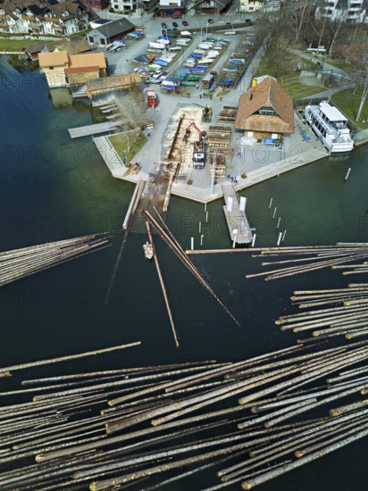 Raft of felled tree trunks at the landing stage where the trunks are pulled ashore and cut to size