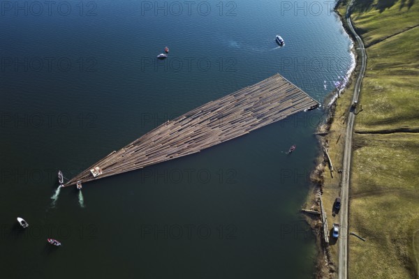 Forestry workers float a raft of felled tree trunks from the Bergmatt across the Ägerisee to the